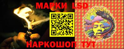 гидра Будённовск
