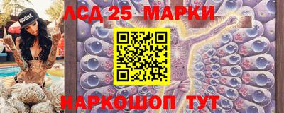 гидра Будённовск