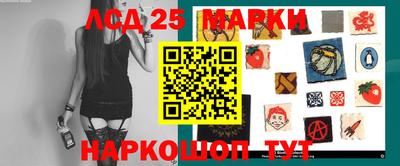 гидра Будённовск