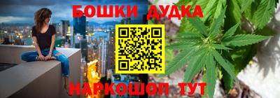 гидра Будённовск