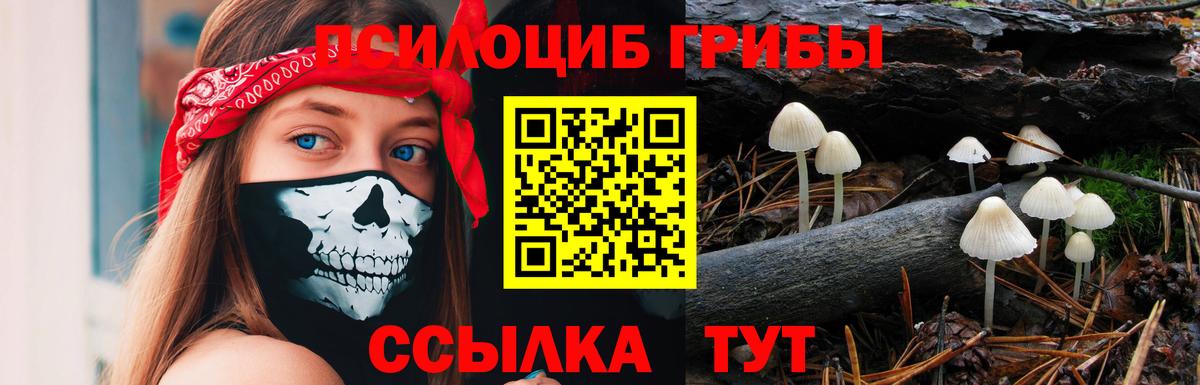 Отрадное  купить наркотик  Вход с VPN  Галлюциногенные грибы Magic Shrooms  Псилоцибиновые грибы мицелий 